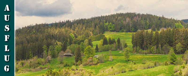 Schwarzwälder Genießerpfad - Säbelthomaweg Hinterzarten