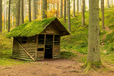 Rötenbachschlucht, Löffingen