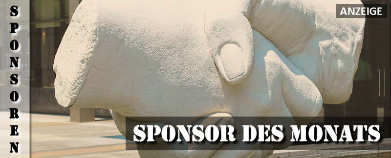 Blog erstellen mit Wix.com - Sponsor des Monats Juni