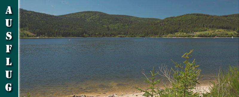 schwarzwaelder-geniesserpfad-schluchseer-jaegersteig