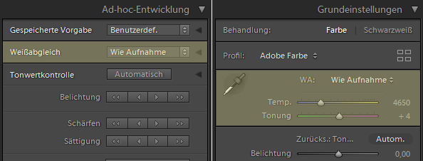 Bildbearbeitung - Weißabgleich in Lightroom vornehmen