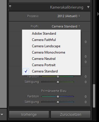 lightroom-tipp-raw-import