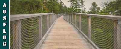 Top Highlights von Bad Wildbad im Regen