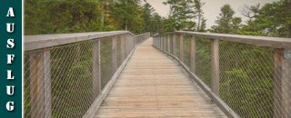 bad-wildbad-highlights-nordschwarzwald