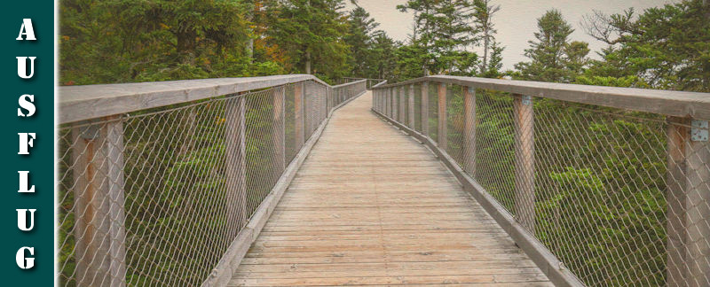 bad-wildbad-highlights-nordschwarzwald