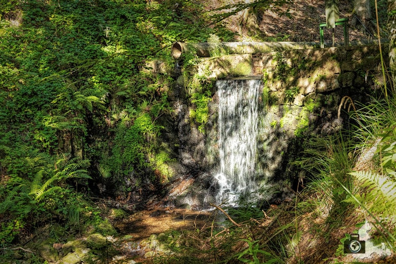 Schwarzwälder Genießerpfad - Lebküchlerweg - Wasserfall