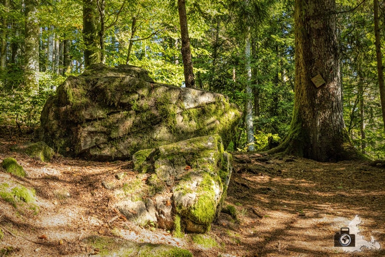 Schwarzwälder Genießerpfad - Lebküchlerweg