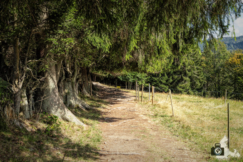 Schwarzwälder Genießerpfad - Lebküchlerweg - Wanderweg