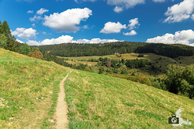 Schwarzwälder Genießerpfad - Lebküchlerweg - Wanderweg