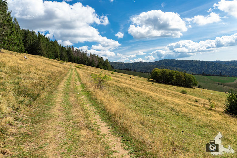 Schwarzwälder Genießerpfad - Lebküchlerweg - Aussicht