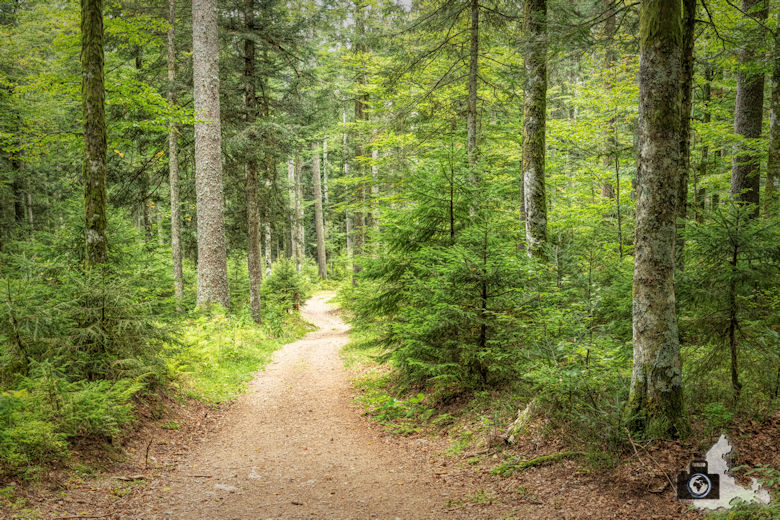 Schwarzwälder Genießerpfad - Lebküchlerweg - Wanderweg