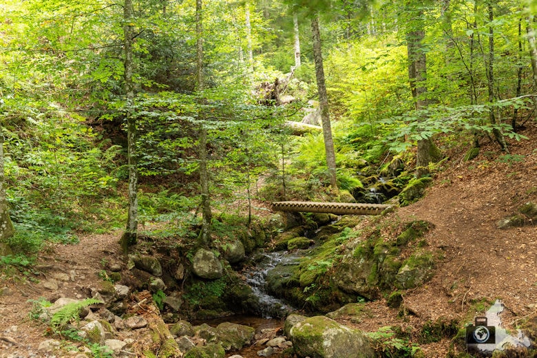 Schwarzwälder Genießerpfad - Lebküchlerweg - Bach