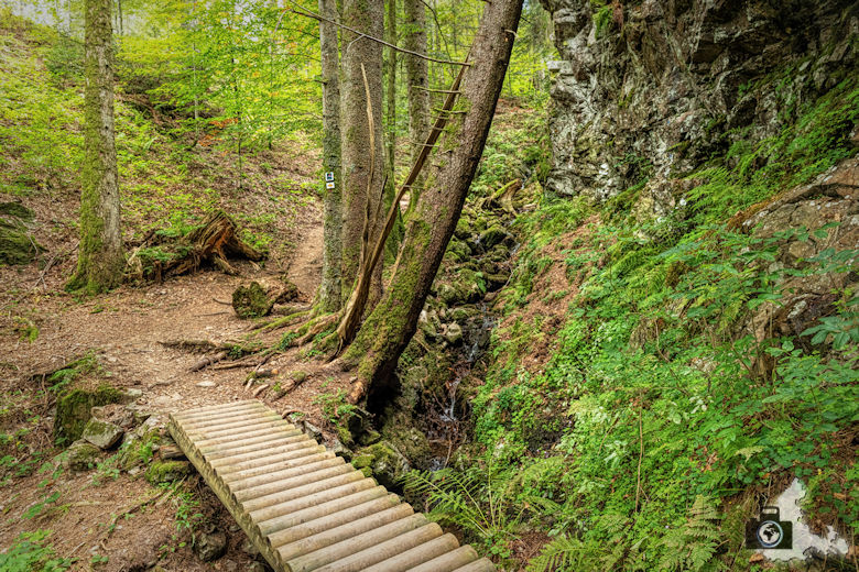 Schwarzwälder Genießerpfad - Lebküchlerweg - Steg