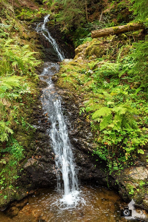 Schwarzwälder Genießerpfad - Lebküchlerweg - Wasserfall