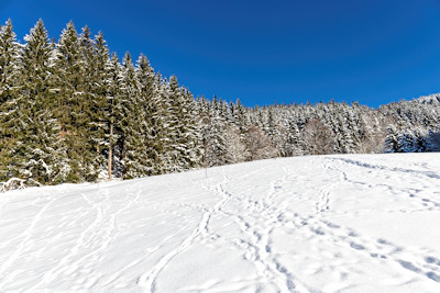Fotowalk Winter im Münstertal