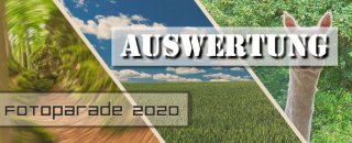 fotoparade-corona-heimat-auswertung-2020