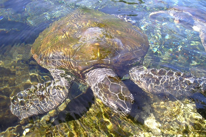 Steckbrief Samoa