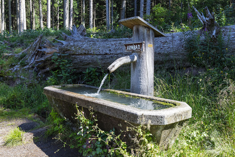 Schwarzwälder Genießerpfad - Waldpfad Groppertal - Brunnen