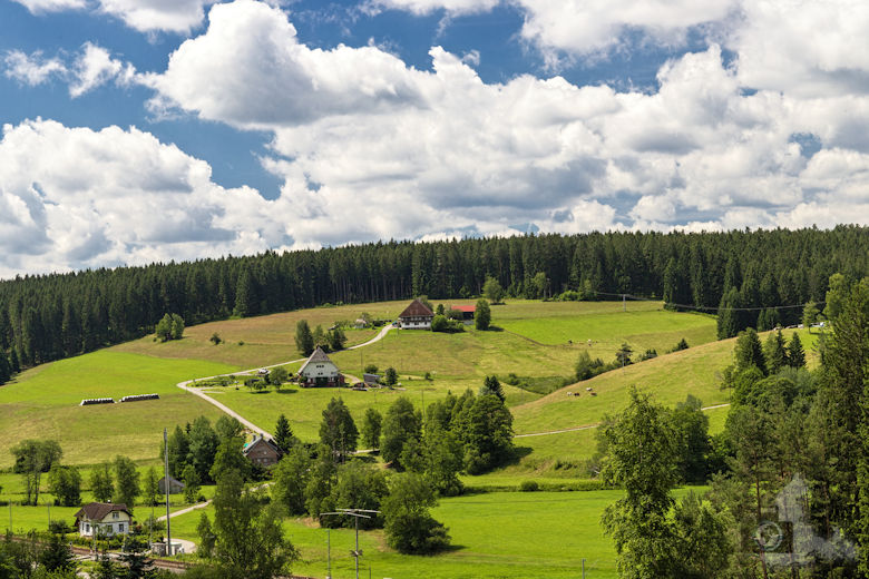 Schwarzwälder Genießerpfad - Waldpfad Groppertal - Ausblick