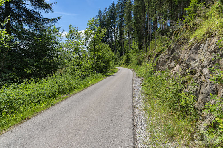 Schwarzwälder Genießerpfad - Waldpfad Groppertal - Straße