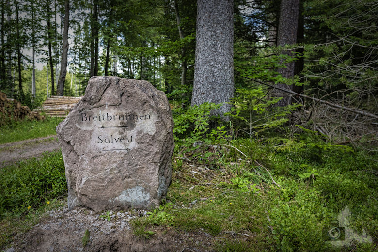 Schwarzwälder Genießerpfad - Waldpfad Groppertal - Wegstein