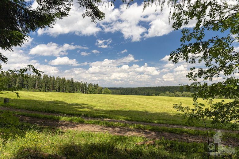 Schwarzwälder Genießerpfad - Waldpfad Groppertal - Ausblick