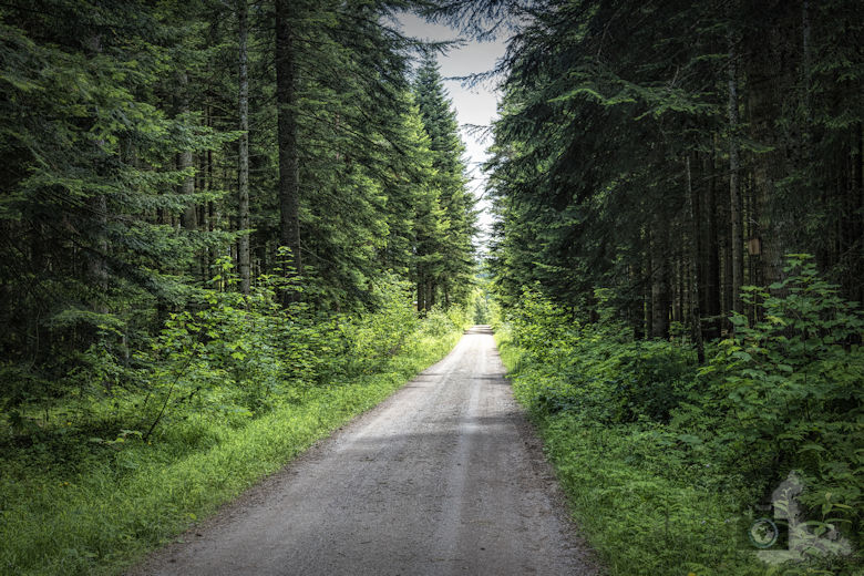 Schwarzwälder Genießerpfad - Waldpfad Groppertal - Wanderweg