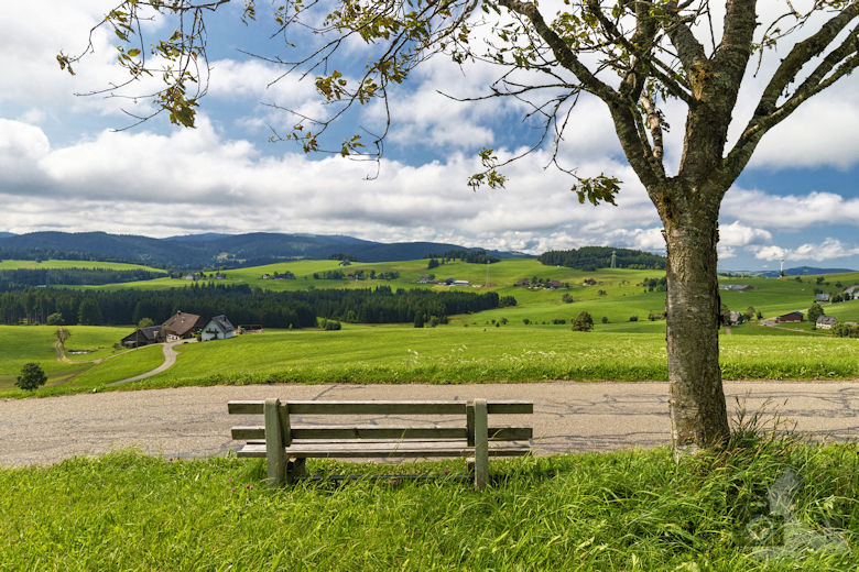 Wanderung auf dem Breitnauer Roßberg Rundweg