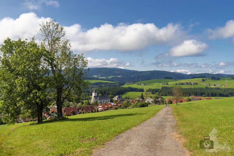 Wanderung auf dem Breitnauer Roßberg Rundweg