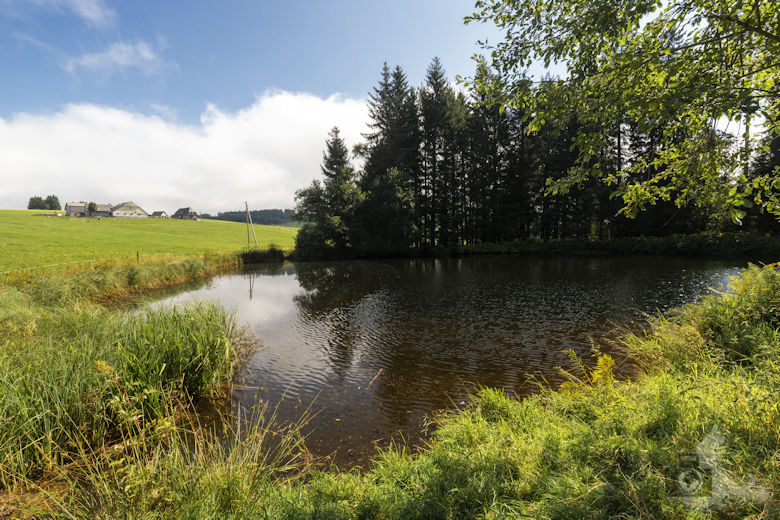 Wanderung auf dem Breitnauer Roßberg Rundweg