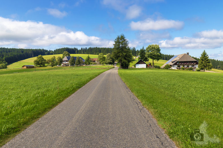 Wanderung auf dem Breitnauer Roßberg Rundweg