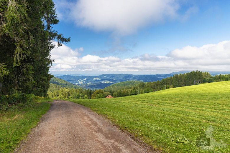 Wanderung auf dem Breitnauer Roßberg Rundweg