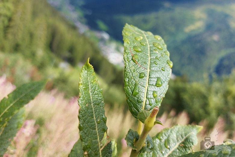 E-Bike-Tour rund um St. Anton
