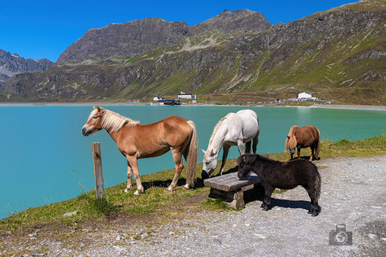 Bielerhöhe, Silvretta Stausee, Österreich
