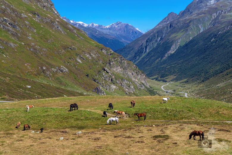 Bielerhöhe, Silvretta Stausee, Österreich
