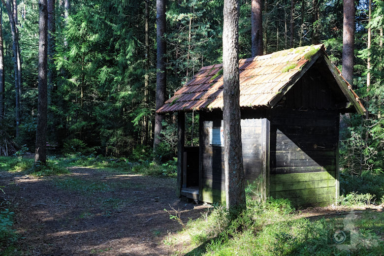 Wanderung Gutacher Tälersteig