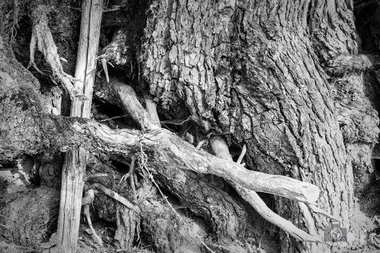 Wanderung Gutacher Tälersteig