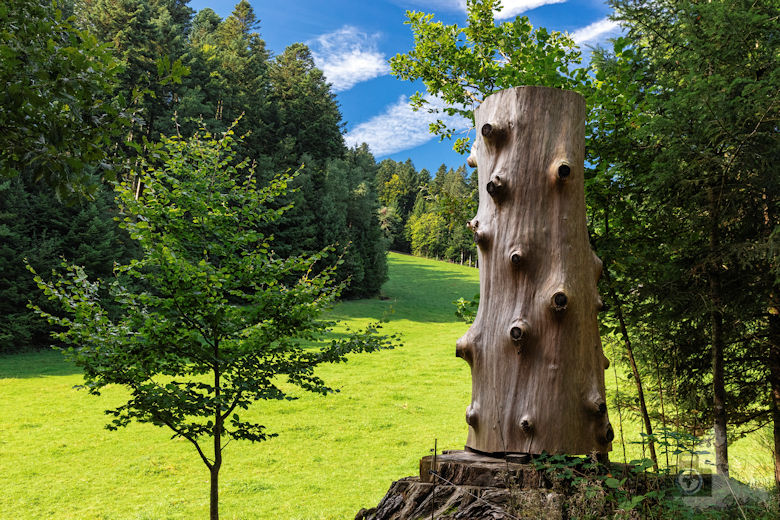 Wanderung Gutacher Tälersteig
