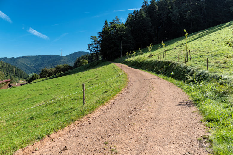 Wanderung Gutacher Tälersteig