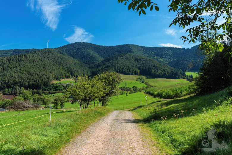 Wanderung Gutacher Tälersteig
