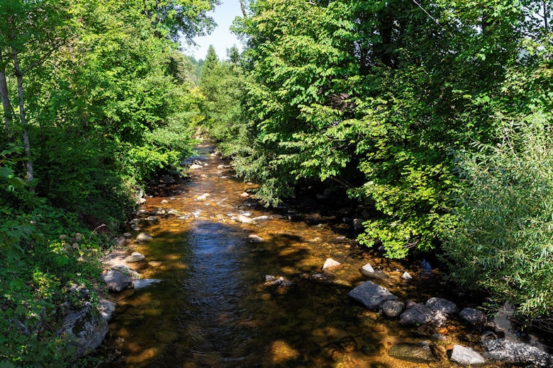 Wanderung Gutacher Tälersteig