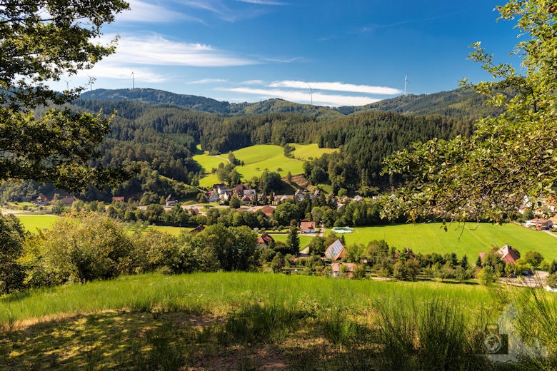 Wanderung Gutacher Tälersteig