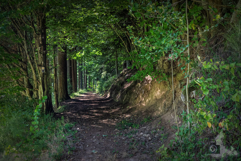 Wanderung Gutacher Tälersteig