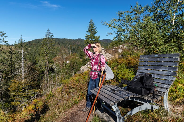 Wanderung - Schwarzwälder Genießerpfad - Bernauer Hochtal Steig - Hohfelsen