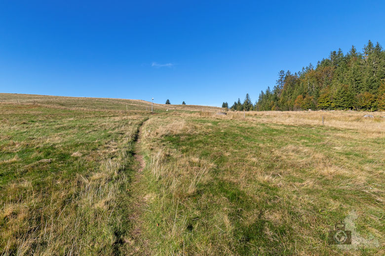 Wanderung - Schwarzwälder Genießerpfad - Bernauer Hochtal Steig