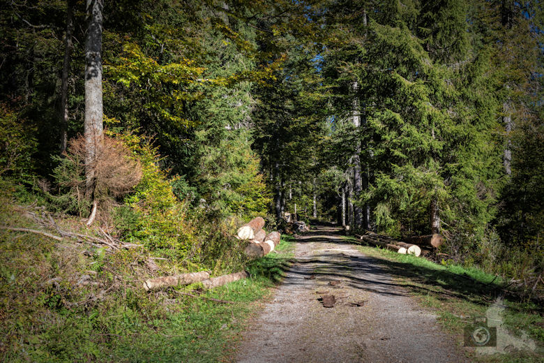 Wanderung - Schwarzwälder Genießerpfad - Bernauer Hochtal Steig