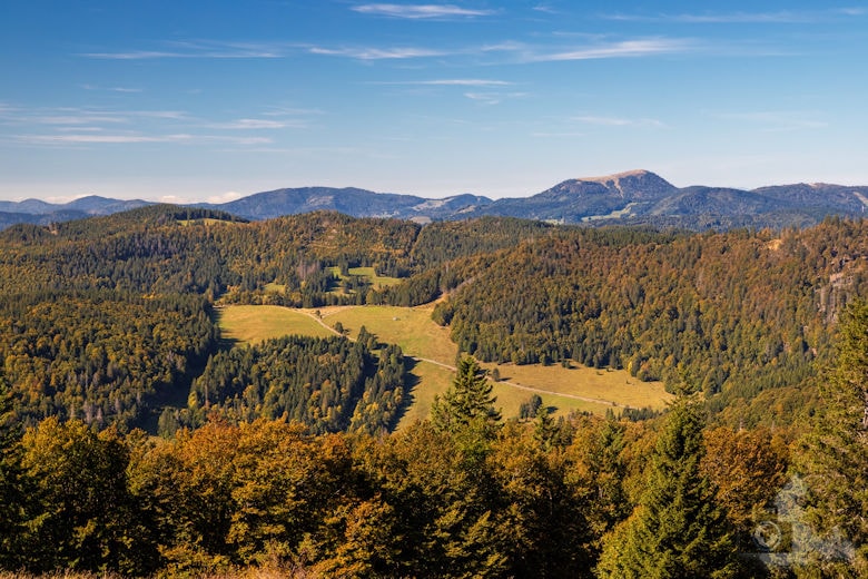 Wanderung - Schwarzwälder Genießerpfad - Bernauer Hochtal Steig