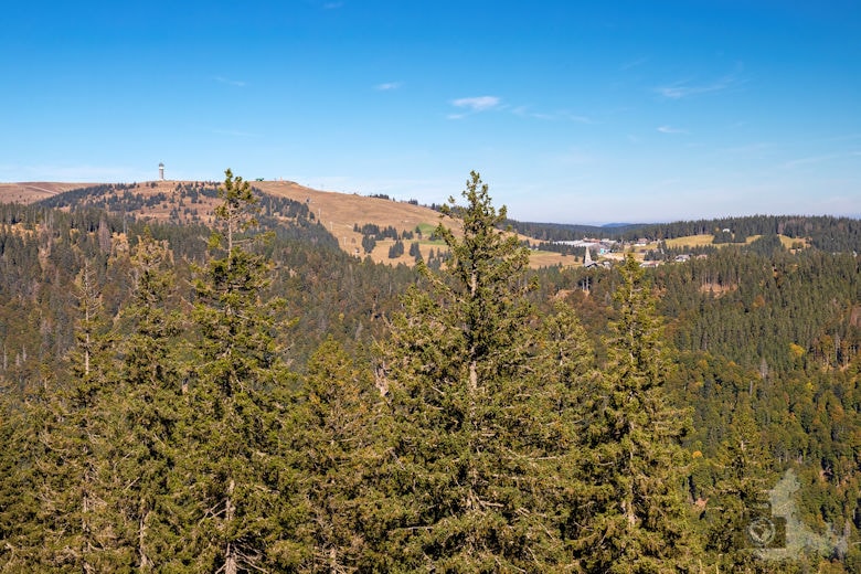Wanderung - Schwarzwälder Genießerpfad - Bernauer Hochtal Steig - Feldberg