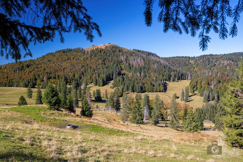 Wanderung - Schwarzwälder Genießerpfad - Bernauer Hochtal Steig - Feldberg