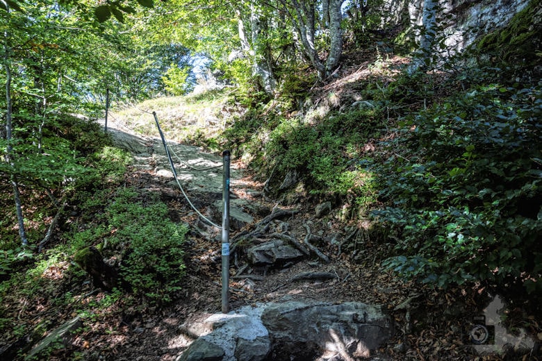 Wanderung - Schwarzwälder Genießerpfad - Bernauer Hochtal Steig